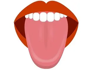 舌の位置は人生を変える！？正しい舌の位置とは？