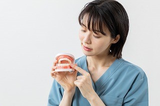 口の模型を指さす女性