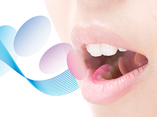 歯にはさまざまな役割があります