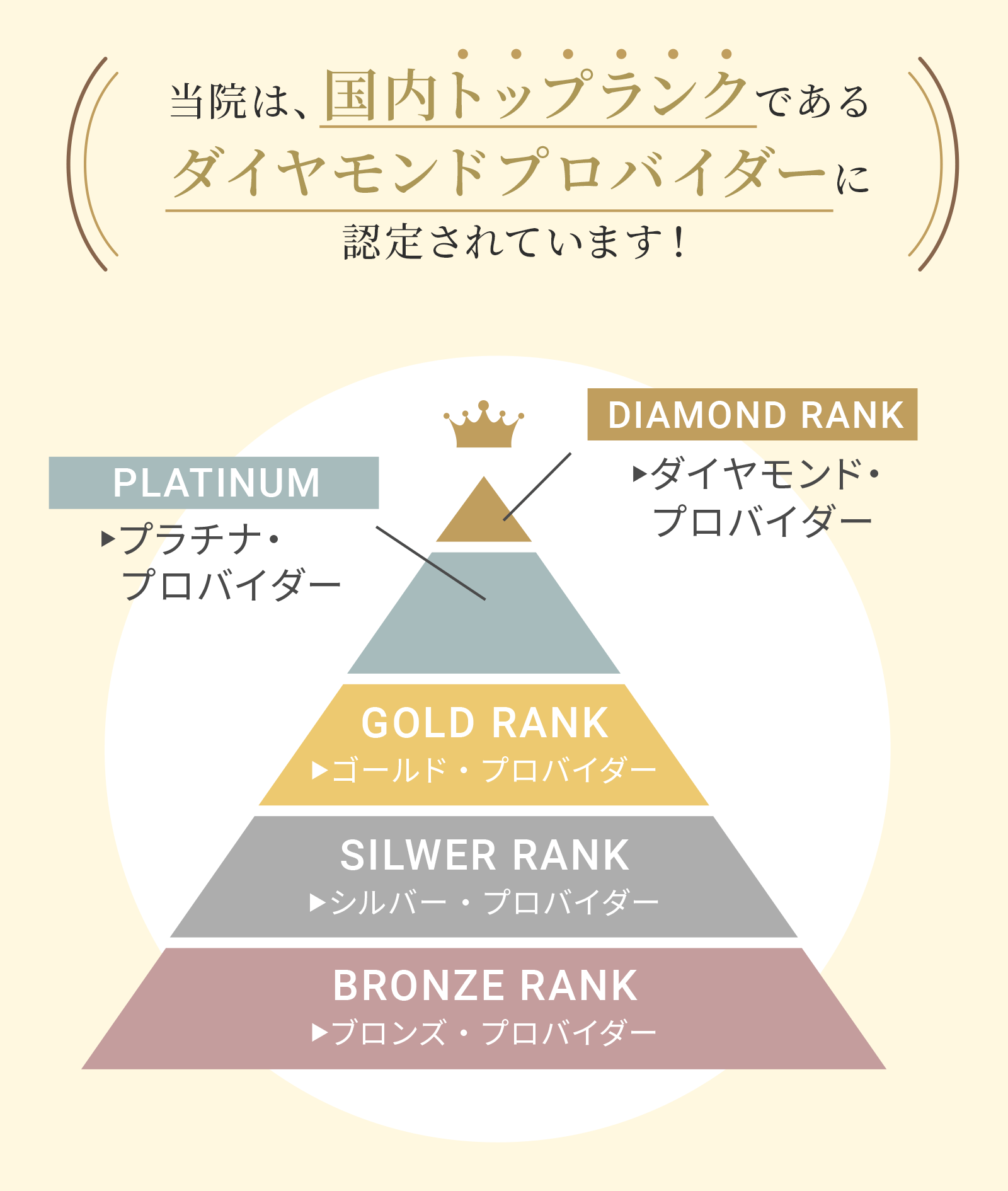 インビザラインプロパイダーピラミッド