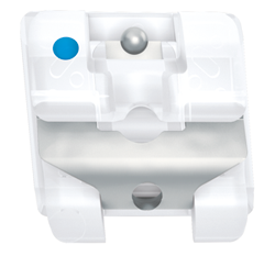 クリッピーシステム矯正装置